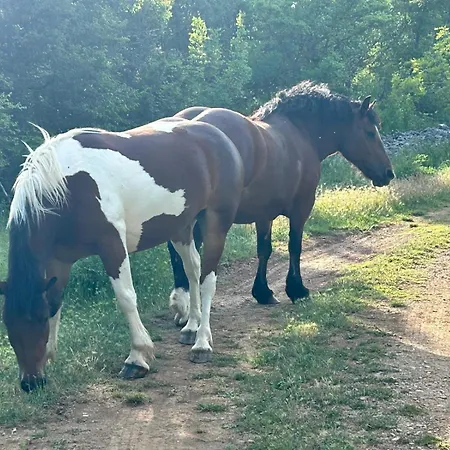 Luna וילה *